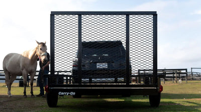 Carry On Trailer 5×8 utility trailer
